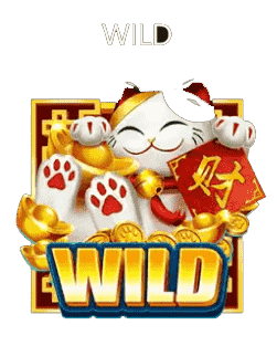 สัญลักษณ์ Wild เป็นสัญลักษณ์ที่มีลักษณ์เป็นแมวสีขาว ถือซองมีภาษาจีน และมีสัญลักษณ์ข้างล่างคำว่า Wild