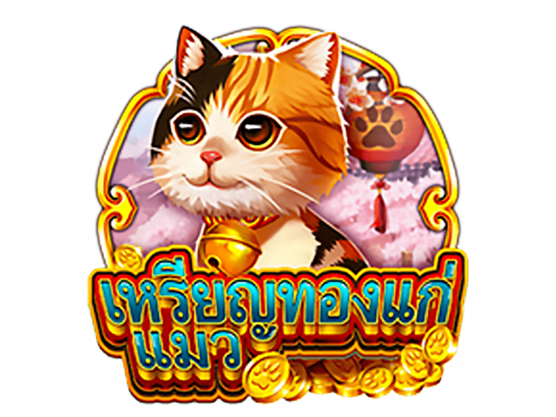 รีวิวเกมสล็อตอออนไลน์ เกม Coin Cat