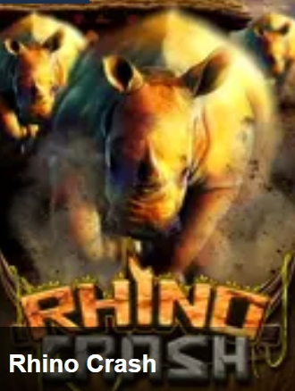 Rhino Crash