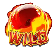 สัญลักษณ์ Wild เกม Phoenix