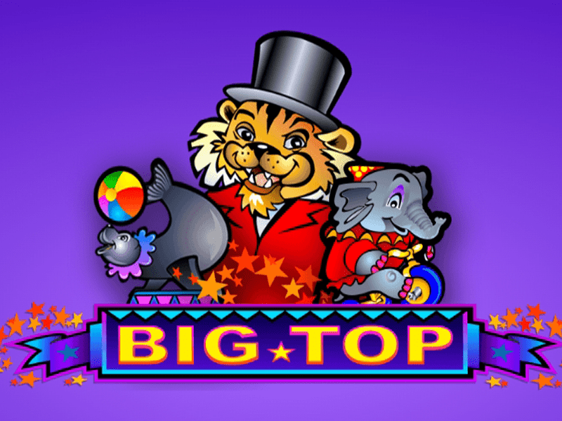 รีวิวเกมสล็อตออนไลน์ Big Top ค่าย Micro Gaming